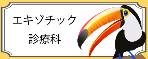 エキゾチック診療科