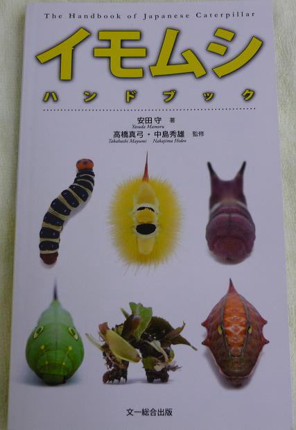 イモムシ