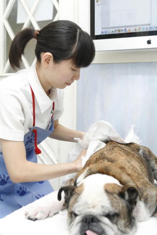 シャンプー担当看護師