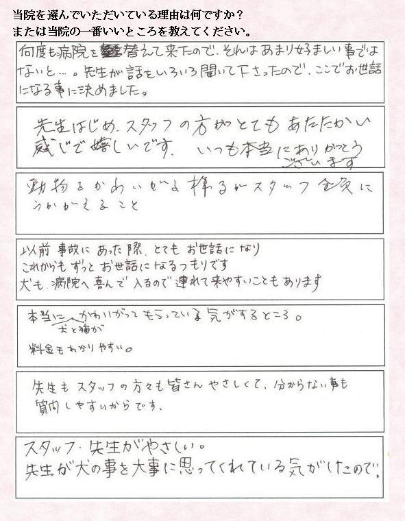 当院を選んだ理由