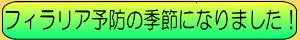 フィラリア予防
