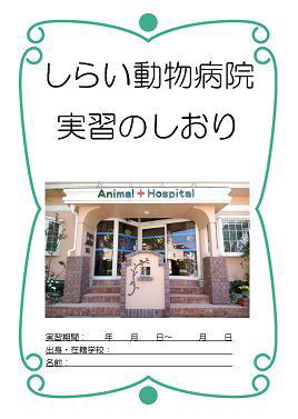 実習のしおり
