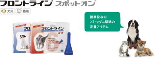 フロントライン