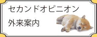 セカンドオピニオン外来